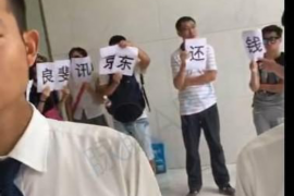 镇安镇安的要账公司在催收过程中的策略和技巧有哪些？